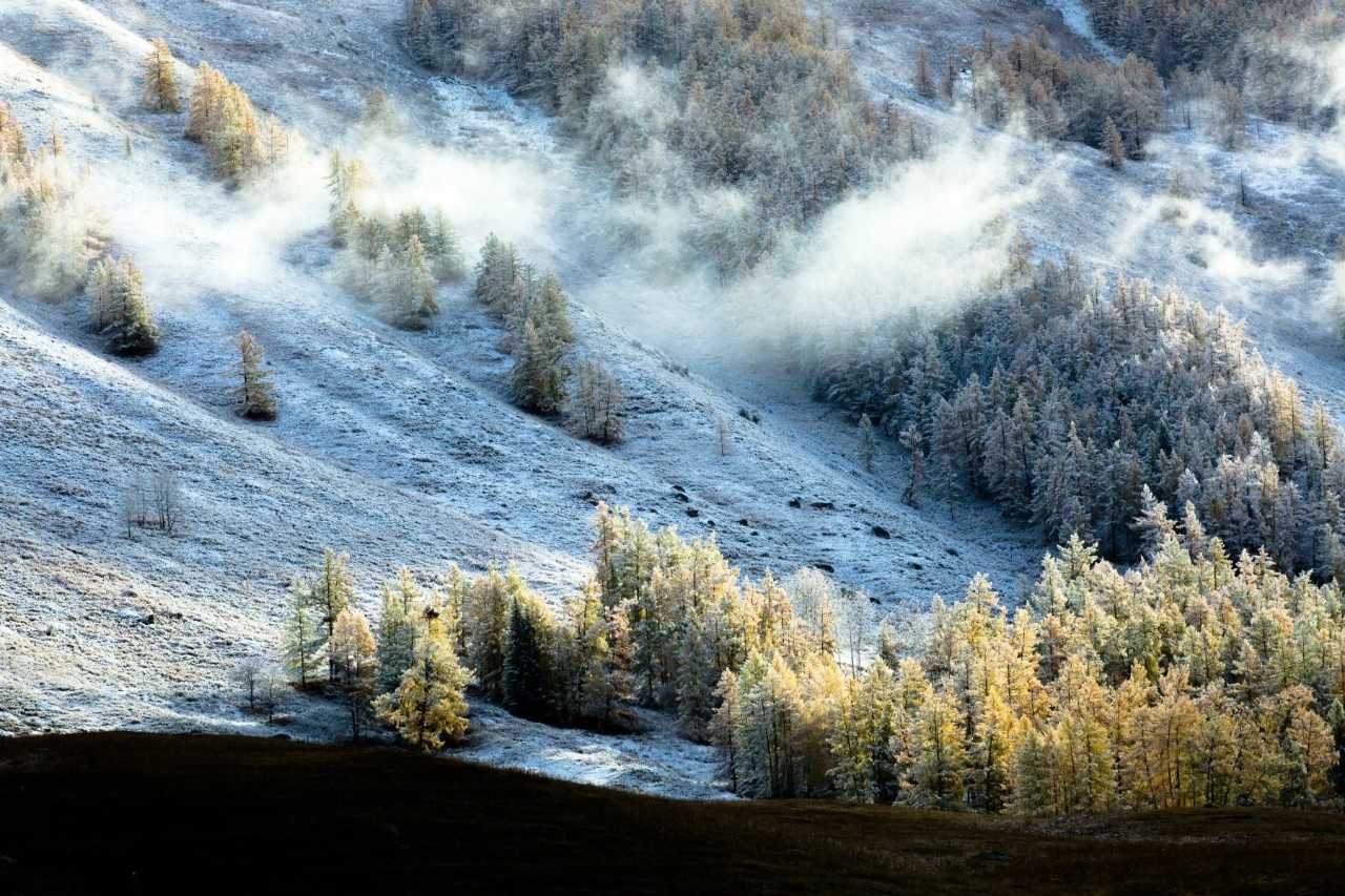 新疆的魅力与风情
