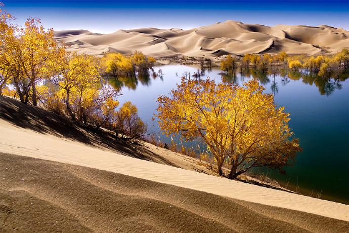 新疆，多元文化交融与民族和谐共融的生动典范